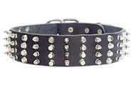 2 inch Leather Dog Collar with STUDS and SPIKES for police dogs  2 inch Leather Dog Collar with STUDS and SPIKES for police dogs