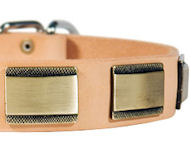 Designer Dog Collar for DOG-Leather Custom Collar [C88##1097 Dog