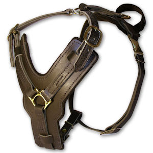 Sturdy Agitation/Protection Leather Dog Harness